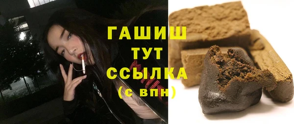 амф Верхний Тагил